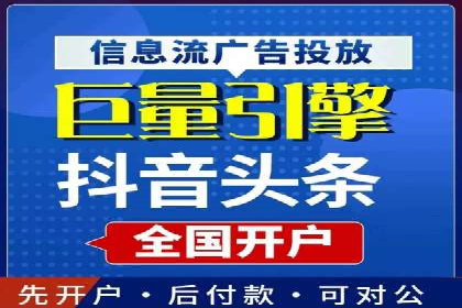 抖音信息流广告的投放策略与成功案例分析